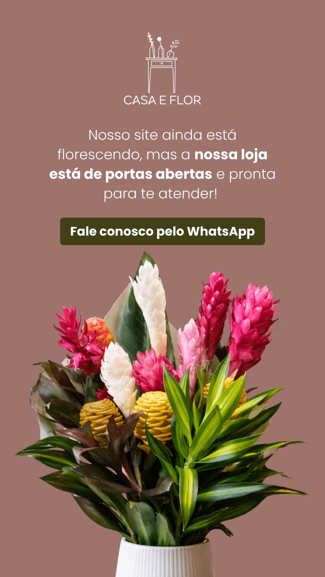 Banner Mobile